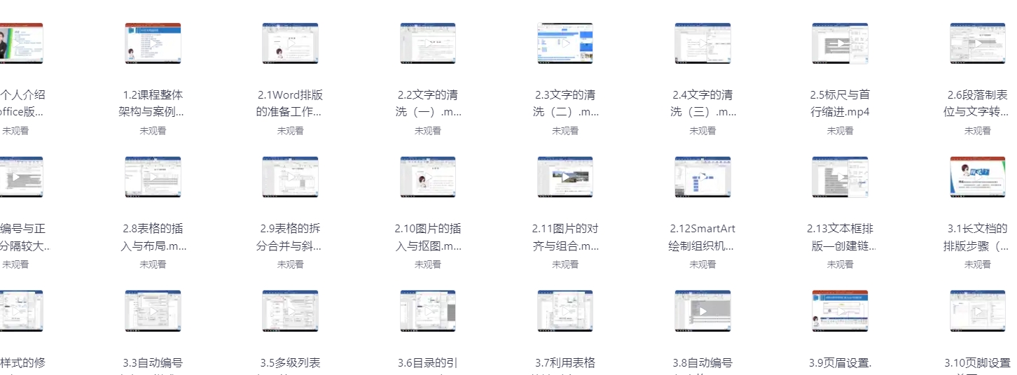 Word高效办公：从小白到精通